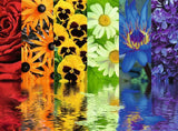 Floral Reflections | Ravensburger | 500 Pieces | Jigsaw Puzzle