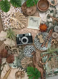 Still Life Vintage | Ravensburger | 500 Pieces | Jigsaw Puzzle