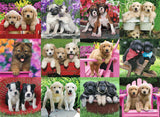 Puppy Pals | Ravensburger | 500 Pieces | Jigsaw Puzzle