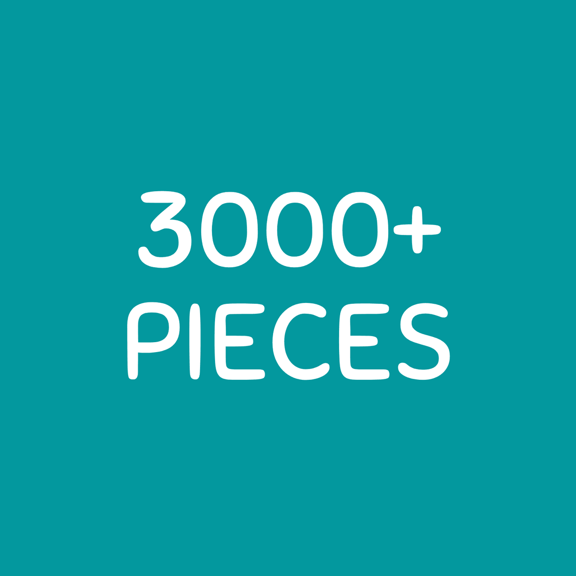 Puzzles + | The Puzzle Store with More