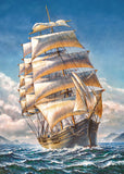 Sailing The WR Grace | CherryPazzi | 1000 Pieces | Jigsaw Puzzle