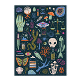 Occult and Curious - Camille Chew | Glow in the Dark | Galison | 1000 Pieces | Jigsaw Puzzle
