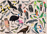 Australian Birds - Sarah Allen | 500 Pieces | Jigsaw Puzzle