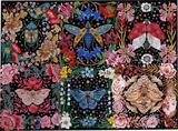 Blooming Beetles - Maria Matos | Gibsons | 1000 Pieces | Jigsaw Puzzle