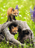 Cheeky Foxes | Ravensburger | 300 XXL Pieces | Jigsaw Puzzle