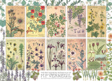 Botanicals by Verneuil - Maurice Pillard Verneuil | Cobble Hill | 1000 Pieces | Jigsaw Puzzle