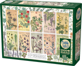 Botanicals by Verneuil - Maurice Pillard Verneuil | Cobble Hill | 1000 Pieces | Jigsaw Puzzle