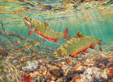 Brook Trout - Beth Hoselton | Cobble Hill | 1000 Pieces | Jigsaw Puzzle