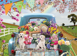 Country Truck In Spring | Cobble Hill | 500 Pieces | Jigsaw Puzzle