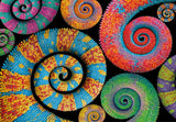 Curly Tails | Colourbloom Collection | Clementoni | 500 Pieces | Jigsaw Puzzle