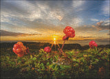 HEYE | Cloudberries - Alexander Von Humboldt | 1000 Pieces | Jigsaw Puzzle
