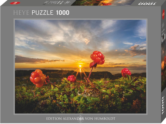 HEYE | Cloudberries - Alexander Von Humboldt | 1000 Pieces | Jigsaw Puzzle