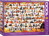 Halloween Pets | Eurographics | 1000 Pieces | Jigsaw Puzzle