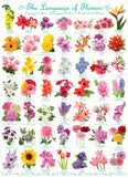 Language Of Flowers | Eurographics | 1000 Pieces | Jigsaw Puzzle