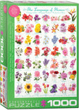 Language Of Flowers | Eurographics | 1000 Pieces | Jigsaw Puzzle