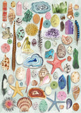 Natural Curiosities | The Art File | Gibsons | 1000 Pieces | Jigsaw Puzzle