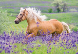 Horse Friends | Ravensburger | 2 x 24 Pieces | Jigsaw Puzzle