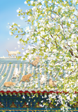 Romantic | Botop Blackcard | 300 Pieces | Jigsaw Puzzle