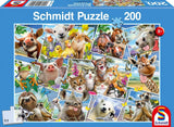 Schmidt | Animal Selfies - Howard Robinson | 200 Pieces | Jigsaw Puzzle