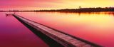 Canning River - Western Australia | Mark Gray | Schmidt | 136 Pieces | Panorama Jigsaw Puzzle