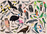 Australian Birds - Sarah Allen | 500 Pieces | Jigsaw Puzzle