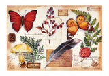 Specimens | Blackcard | Botop | 300 Pieces | Jigsaw Puzzle