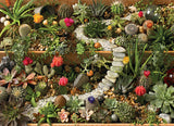 Succulent Garden | Cobble Hill | 1000 Pieces | Jigsaw Puzzle