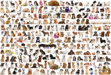 The World Of Dogs | Eurographics | 2000 Pieces | Jigsaw Puzzle