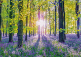Tranquil Bluebell Woods | Schmidt | 1000 Pieces | Jigsaw Puzzle