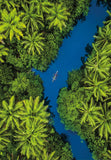 Tropical Aerial View | Clementoni | 500 Pieces | Jigsaw Puzzle