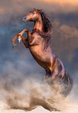 Wild Red Stallion | Clementoni | 500 Pieces | Jigsaw Puzzle