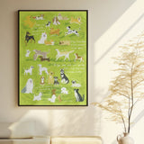 Dog Party | Botop | 1000 Piece Puzzle | Jigsaw Puzzle - Mystery Matrix