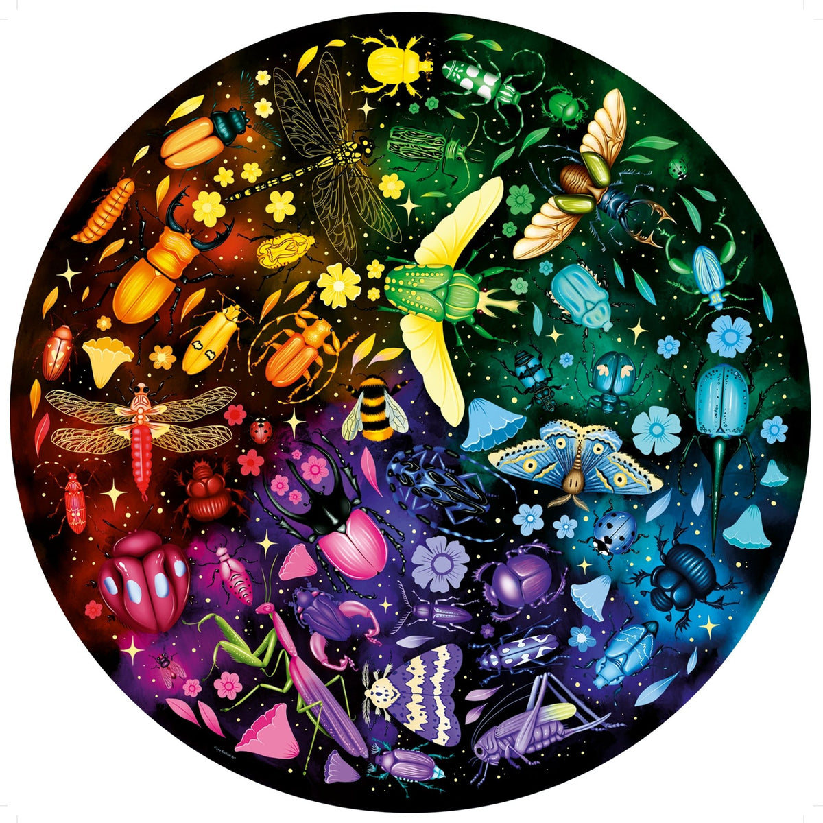 Insects - Circle Of Colours | Ravensburger | 500 Pieces | Circular Jig ...