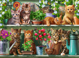 Cats On The Shelf | Ravensburger | 500 Pieces | Jigsaw Puzzle