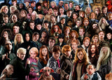 Harry Potter Challenge | Harry Potter | Ravensburger | 1000 Pieces | Jigsaw Puzzle