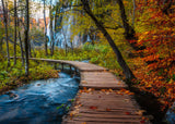 Autumnal Wood Trail | Beautiful Walkways | Ravensburger | 1000 Pieces | Jigsaw Puzzle
