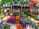 Flower Market - France | Colourful Markets | Ravensburger | 500 Pieces | Jigsaw Puzzle