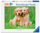 The Golden Retriever Brothers | Ravensburger | 500 Pieces | Jigsaw Puzzle