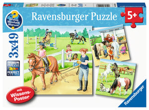 A Day At The Stables | Ravensburger | 3 X 49 Pieces | Jigsaw Puzzle