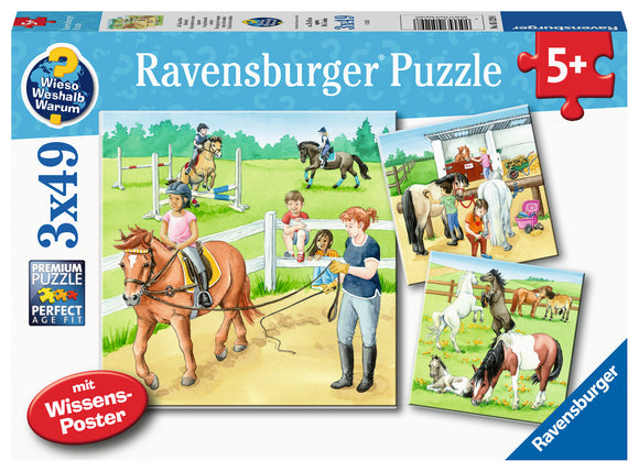 Ravensburger | A Day At The Stables | 3 X 49 Pieces | Jigsaw Puzzle