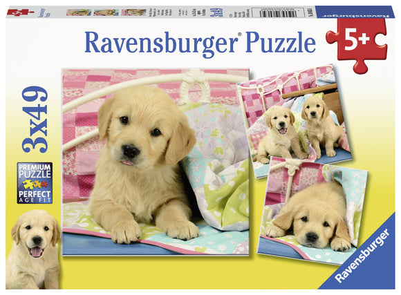 Ravensburger | Cute Puppy Dogs | 3 X 49 Pieces | Jigsaw Puzzle