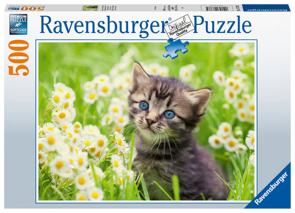 Ravensburger | Kitten In The Meadow | 500 Pieces | Jigsaw Puzzle