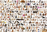 The World Of Dogs | Eurographics | 2000 Pieces | Jigsaw Puzzle - Puzzles +