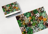 Desert Beauty - The Art of Mindfulness | Tania Wicks | 1000 Pieces | Jigsaw Puzzle