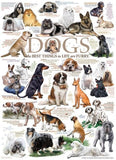 Cobble Hill | Dog Quotes - Lucia Guarnotta | 1000 Pieces | Jigsaw Puzzle