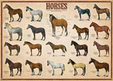 Eurographics | Horses - Animal Charts | 1000 Pieces | Jigsaw Puzzle