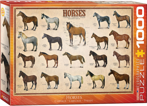 Eurographics | Horses - Animal Charts | 1000 Pieces | Jigsaw Puzzle