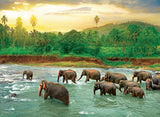 Rainforest - Save Our Planet Collection | Eurographics | 1000 Pieces | Jigsaw Puzzle
