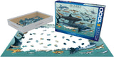 Sharks - Animal Charts | Eurographics | 1000 Pieces | Jigsaw Puzzle