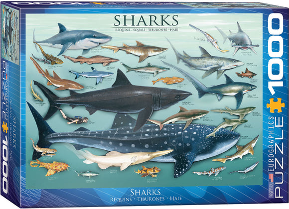 Eurographics | Sharks - Animal Charts | 1000 Pieces | Jigsaw Puzzle